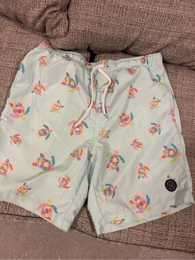 Brooklyn Cloth Light Mint Swim Trunks with Multicolor Turtle Print